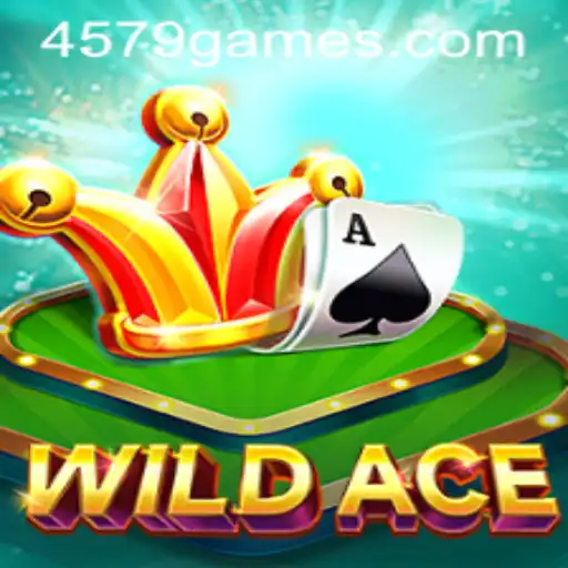 WildAce: The Adventure Awaits